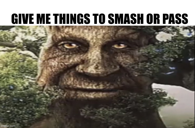 Wise mystical tree | GIVE ME THINGS TO SMASH OR PASS | image tagged in wise mystical tree | made w/ Imgflip meme maker