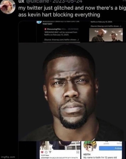 the kevin hart has decided you have scrolled twitter enough for today | made w/ Imgflip meme maker