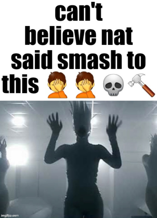image tagged in can't believe nat said smash to this | made w/ Imgflip meme maker