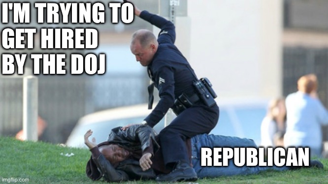 DOJ new hiring | I'M TRYING TO
GET HIRED
BY THE DOJ; REPUBLICAN | image tagged in cop beating,memes,funny,gru's plan | made w/ Imgflip meme maker