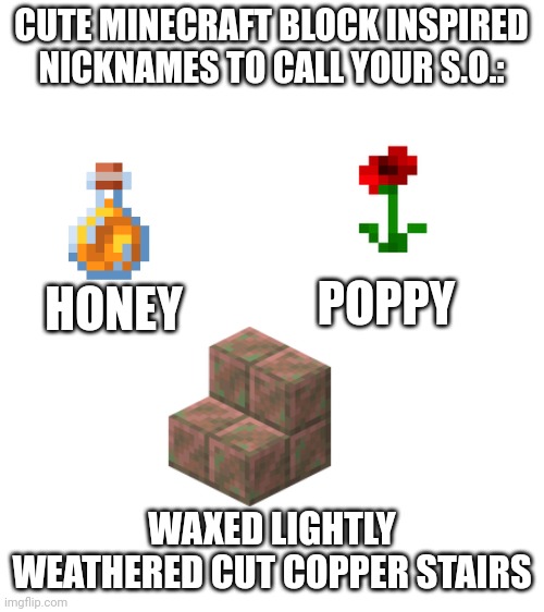 So cute <3 | CUTE MINECRAFT BLOCK INSPIRED NICKNAMES TO CALL YOUR S.O.:; POPPY; HONEY; WAXED LIGHTLY WEATHERED CUT COPPER STAIRS | image tagged in blank white template,minecraft | made w/ Imgflip meme maker