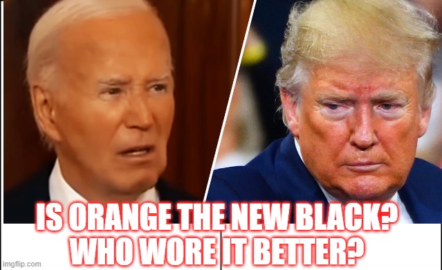 Orange | IS ORANGE THE NEW BLACK?
WHO WORE IT BETTER? | image tagged in side-by-side panels,orange,who wore it better | made w/ Imgflip meme maker