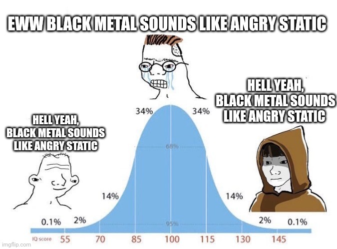 Bell Curve | EWW BLACK METAL SOUNDS LIKE ANGRY STATIC; HELL YEAH, BLACK METAL SOUNDS LIKE ANGRY STATIC; HELL YEAH, BLACK METAL SOUNDS LIKE ANGRY STATIC | image tagged in bell curve | made w/ Imgflip meme maker