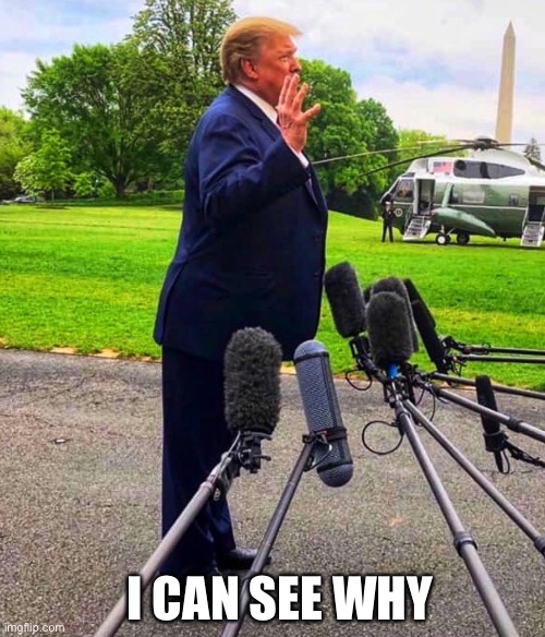 I CAN SEE WHY | made w/ Imgflip meme maker