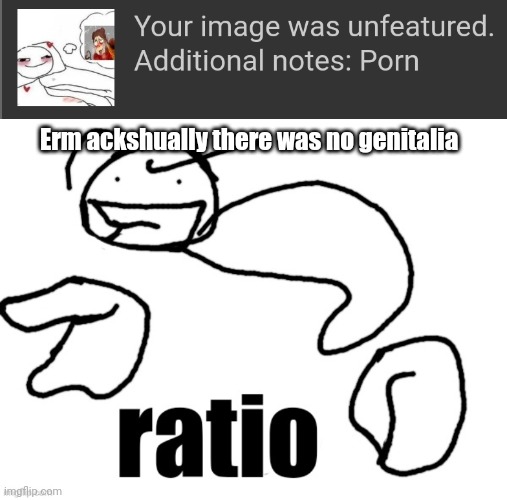 How am I getting banned but theonlyrandomdoggo isnt | Erm ackshually there was no genitalia | image tagged in here take this ratio | made w/ Imgflip meme maker