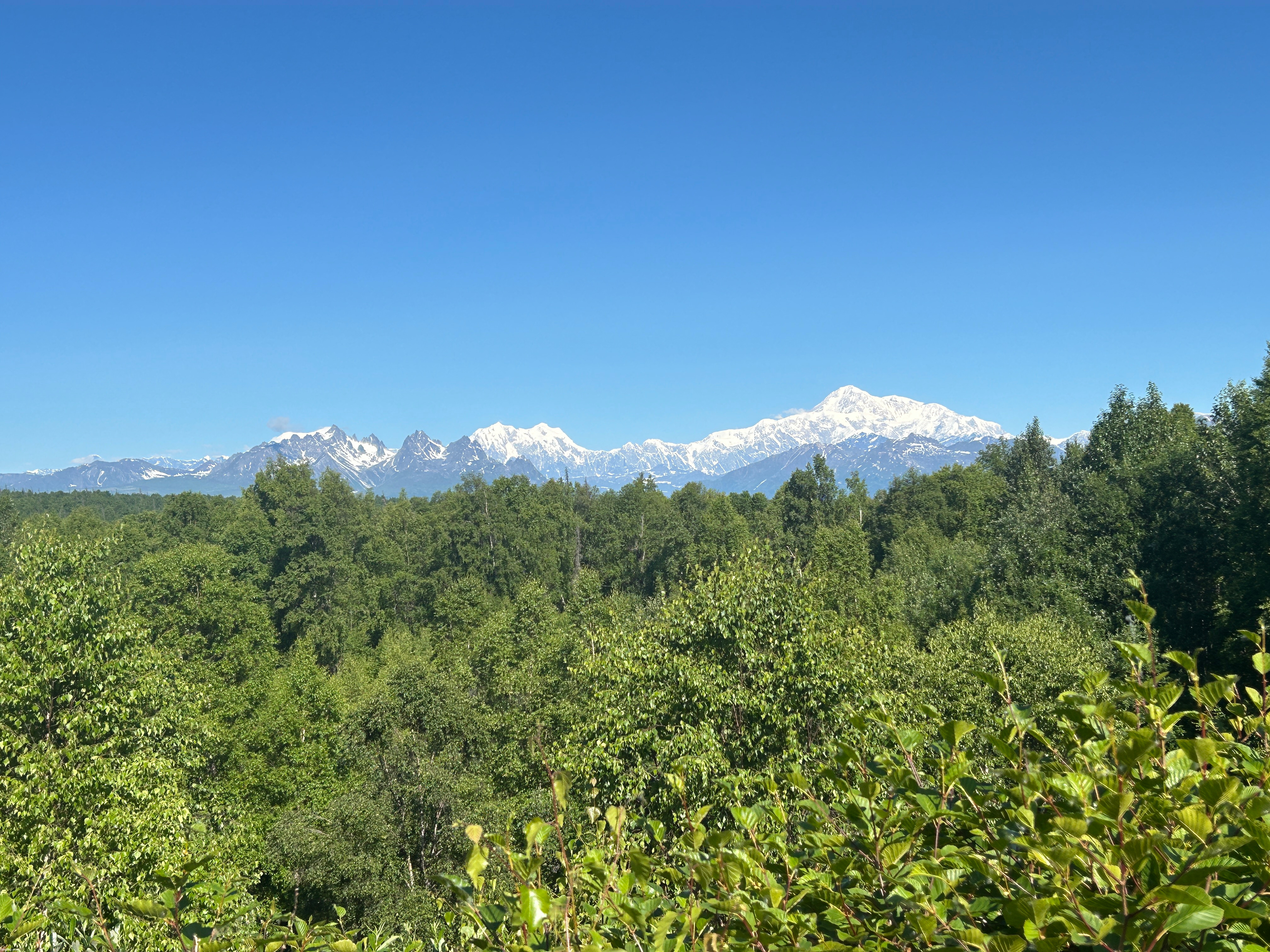 denali | made w/ Imgflip meme maker