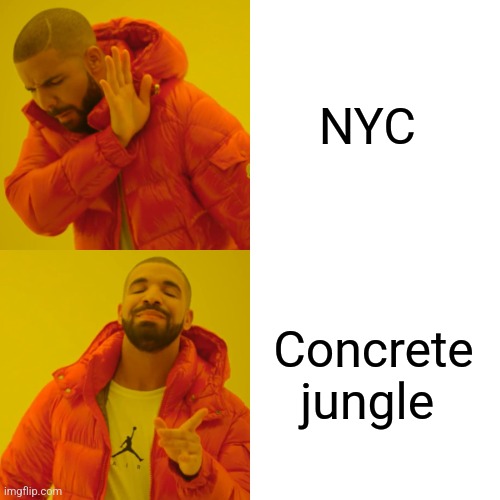 Concrete jungle | NYC; Concrete jungle | image tagged in memes,drake hotline bling,jpfan102504 | made w/ Imgflip meme maker