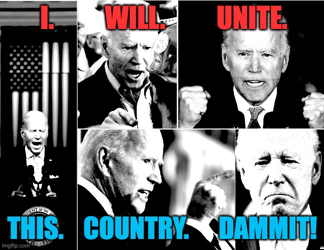 Biden will unite the country DAMMIT | I.          WILL.          UNITE. THIS.    COUNTRY.      DAMMIT! | image tagged in joe biden,debate,presidential debate,biden,2024 election | made w/ Imgflip meme maker