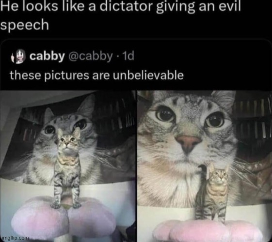 Stalin cat | made w/ Imgflip meme maker