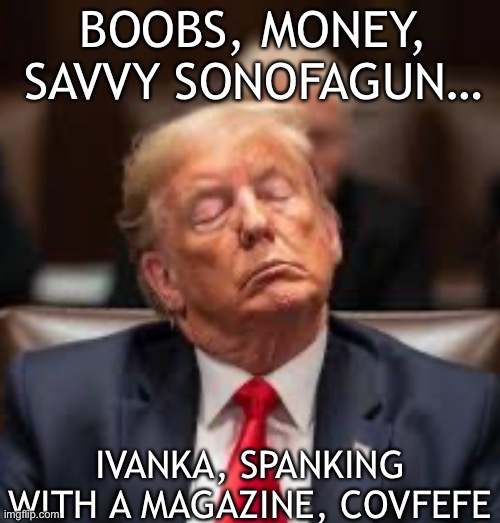 Trump asleep | BOOBS, MONEY, SAVVY SONOFAGUN… IVANKA, SPANKING WITH A MAGAZINE, COVFEFE | image tagged in trump asleep | made w/ Imgflip meme maker