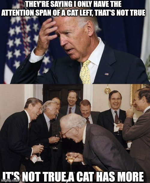 THEY'RE SAYING I ONLY HAVE THE ATTENTION SPAN OF A CAT LEFT, THAT'S NOT TRUE; IT'S NOT TRUE,A CAT HAS MORE | image tagged in joe biden worries,old men laughing | made w/ Imgflip meme maker