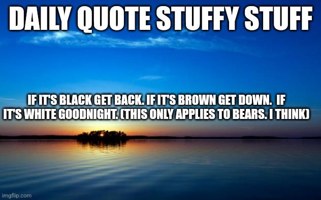 Honestly don't try this. I'm probably wrong | DAILY QUOTE STUFFY STUFF; IF IT'S BLACK GET BACK. IF IT'S BROWN GET DOWN.  IF IT'S WHITE GOODNIGHT. (THIS ONLY APPLIES TO BEARS. I THINK) | image tagged in inspirational quote | made w/ Imgflip meme maker