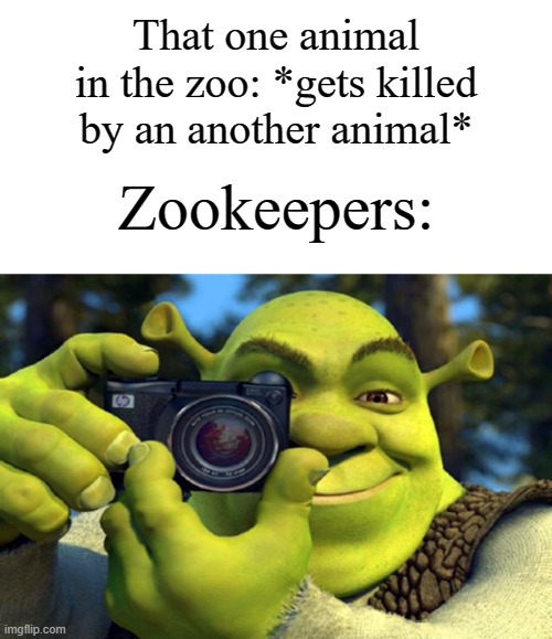Zookeepers are like the police seeing everything ngl | That one animal in the zoo: *gets killed by an another animal*; Zookeepers: | image tagged in memes,funny,zoo,animals,animal crossing,oh wow are you actually reading these tags | made w/ Imgflip meme maker