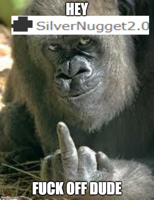 HEY FUCK OFF DUDE | image tagged in gorrila flipping the middle finger up | made w/ Imgflip meme maker