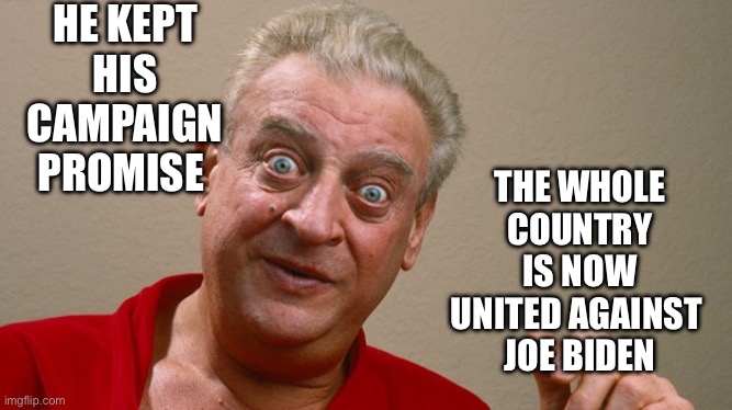 Rodney Dangerfield | HE KEPT HIS CAMPAIGN PROMISE THE WHOLE COUNTRY
IS NOW UNITED AGAINST 
JOE BIDEN | image tagged in rodney dangerfield | made w/ Imgflip meme maker