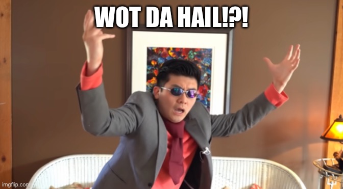 WHAT THE HAIL?! | WOT DA HAIL!?! | image tagged in what the hail | made w/ Imgflip meme maker