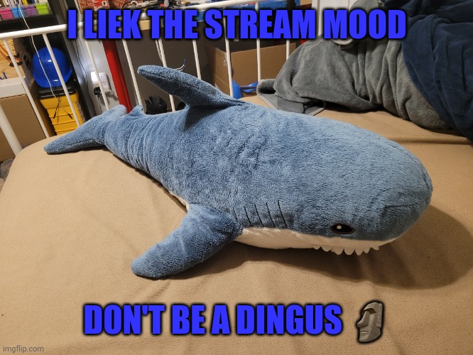 Don't be a dingus ? | I LIEK THE STREAM MOOD; DON'T BE A DINGUS 🗿 | image tagged in my blahaj | made w/ Imgflip meme maker