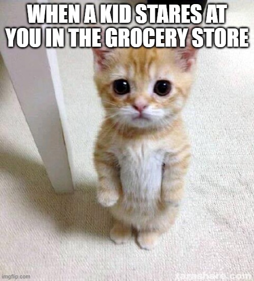 Cute Cat Meme | WHEN A KID STARES AT YOU IN THE GROCERY STORE | image tagged in memes,cute cat | made w/ Imgflip meme maker