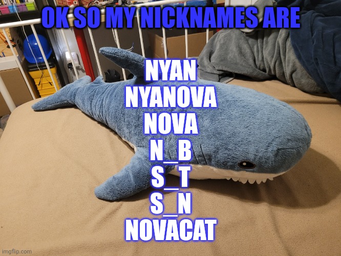 All have been canonized | OK SO MY NICKNAMES ARE; NYAN
NYANOVA
NOVA
N_B
S_T
S_N
NOVACAT | image tagged in my blahaj | made w/ Imgflip meme maker