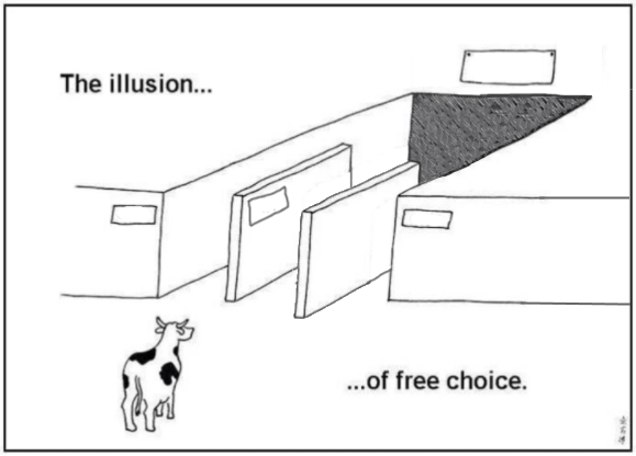 High Quality Illusion of free choice Blank Meme Template