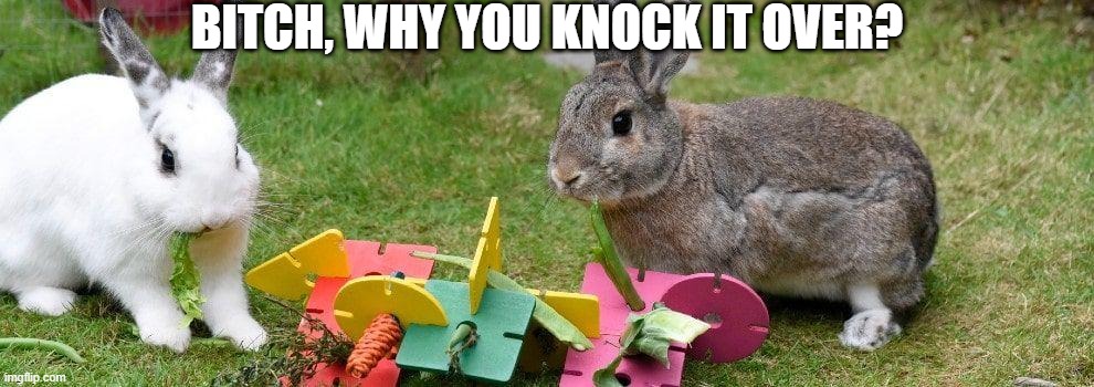 Bunny Vandal | BITCH, WHY YOU KNOCK IT OVER? | image tagged in bunnies | made w/ Imgflip meme maker