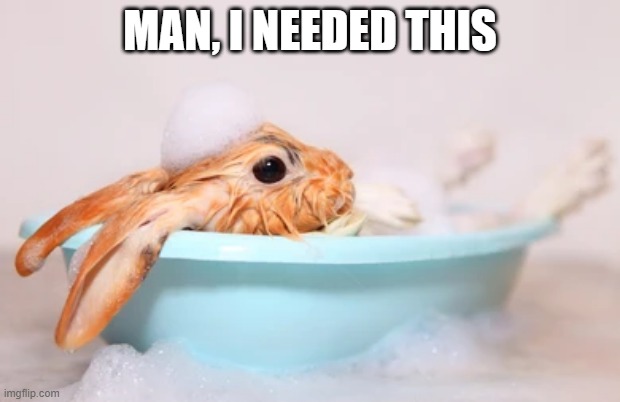 Bunny Bath | MAN, I NEEDED THIS | image tagged in bunnies | made w/ Imgflip meme maker