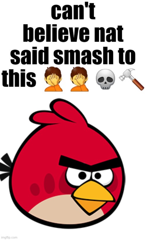 Can’t believe nat said smash to this | image tagged in can t believe nat said smash to this,red | made w/ Imgflip meme maker