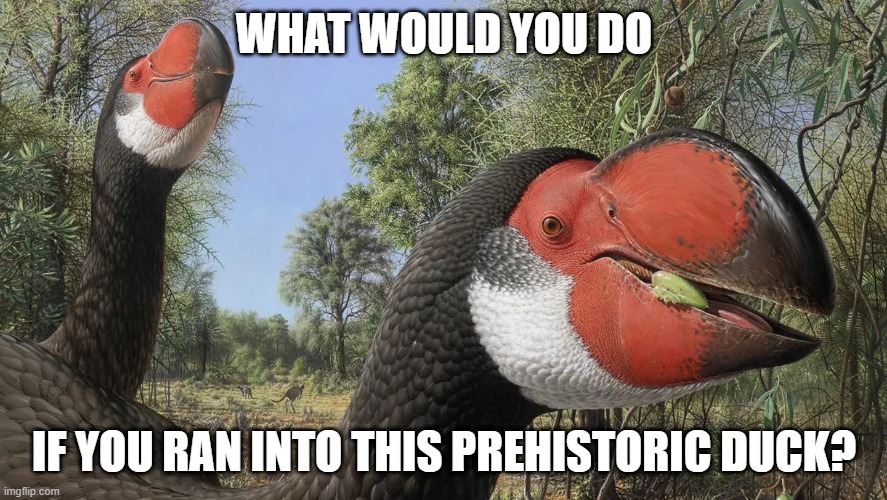 Dino Duck | WHAT WOULD YOU DO; IF YOU RAN INTO THIS PREHISTORIC DUCK? | image tagged in ducks | made w/ Imgflip meme maker