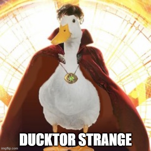 Quackgician | DUCKTOR STRANGE | image tagged in ducks | made w/ Imgflip meme maker