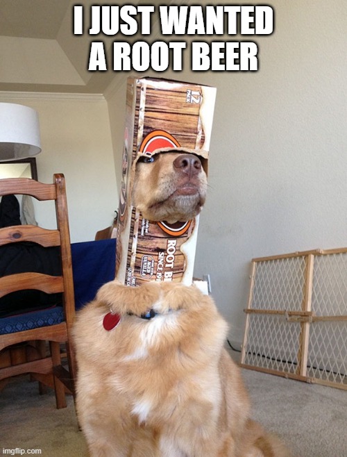 Stuck | I JUST WANTED A ROOT BEER | image tagged in dogs | made w/ Imgflip meme maker