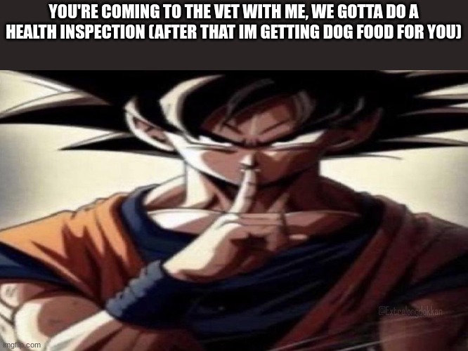 Goku Shhhhh | YOU'RE COMING TO THE VET WITH ME, WE GOTTA DO A HEALTH INSPECTION (AFTER THAT IM GETTING DOG FOOD FOR YOU) | image tagged in goku shhhhh | made w/ Imgflip meme maker