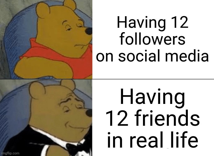 Having 12 followers | Having 12 followers on social media; Having 12 friends in real life | image tagged in memes,tuxedo winnie the pooh,social media,friends | made w/ Imgflip meme maker