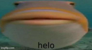 helo | image tagged in helo | made w/ Imgflip meme maker
