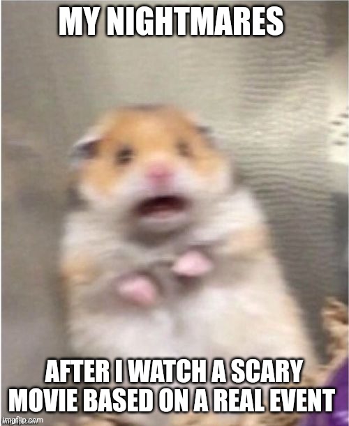 It happened in real life | MY NIGHTMARES; AFTER I WATCH A SCARY MOVIE BASED ON A REAL EVENT | image tagged in scared hamster,relatable,jpfan102504,movies,horror | made w/ Imgflip meme maker