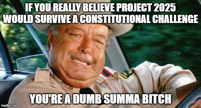 Stop It With the Project 2025 crap | IF YOU REALLY BELIEVE PROJECT 2025 WOULD SURVIVE A CONSTITUTIONAL CHALLENGE; YOU'RE A DUMB SUMMA BITCH | image tagged in buford t justice | made w/ Imgflip meme maker