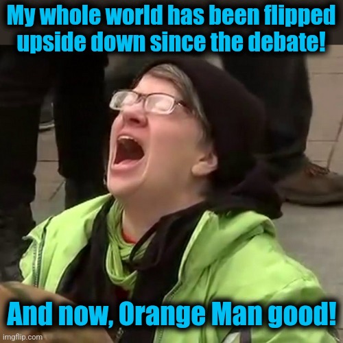 Crying liberal | My whole world has been flipped
upside down since the debate! And now, Orange Man good! | image tagged in crying liberal | made w/ Imgflip meme maker