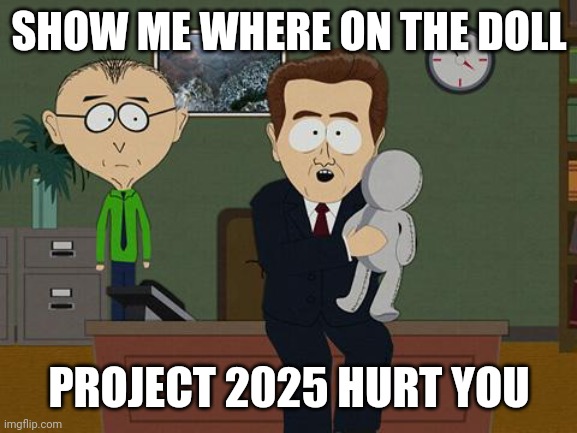 Project 2025 | SHOW ME WHERE ON THE DOLL; PROJECT 2025 HURT YOU | image tagged in show me on the doll meme | made w/ Imgflip meme maker