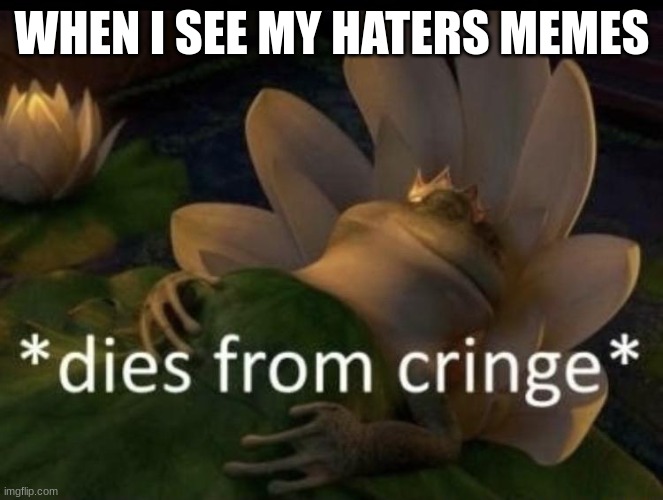 Dies from cringe | WHEN I SEE MY HATERS MEMES | image tagged in dies from cringe | made w/ Imgflip meme maker