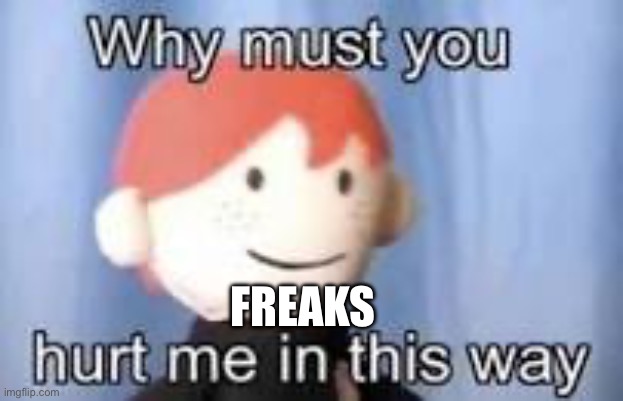 Why must you hurt me in this way | FREAKS | image tagged in why must you hurt me in this way | made w/ Imgflip meme maker