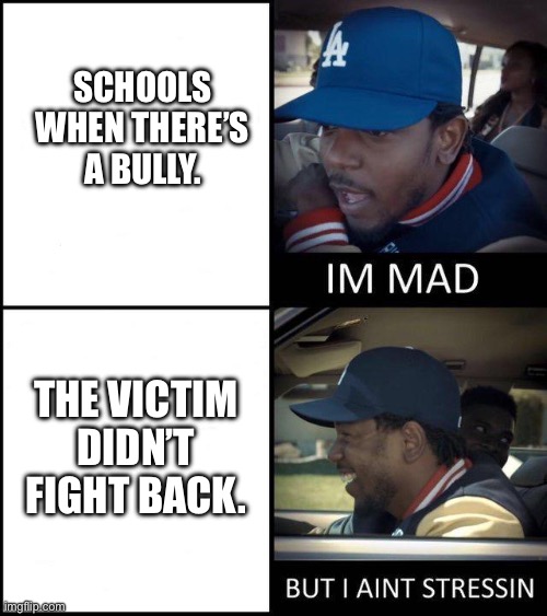 School logic. | SCHOOLS WHEN THERE’S A BULLY. THE VICTIM DIDN’T FIGHT BACK. | image tagged in kendrick lamar i'm mad,school | made w/ Imgflip meme maker