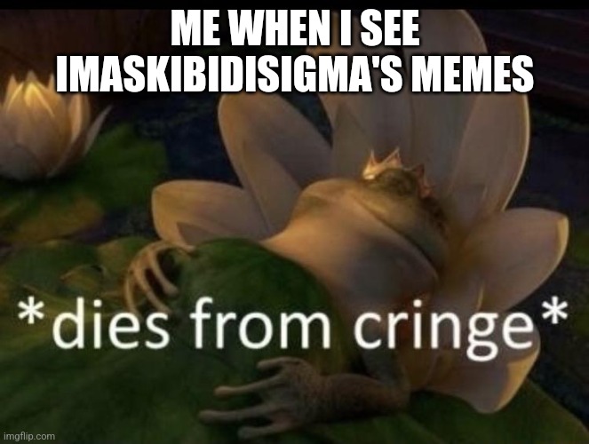 Dies from cringe | ME WHEN I SEE IMASKIBIDISIGMA'S MEMES | image tagged in dies from cringe | made w/ Imgflip meme maker