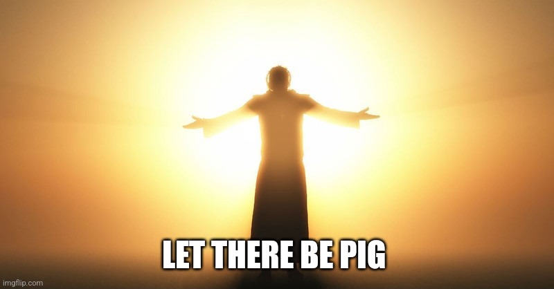 Let there be X | LET THERE BE PIG | image tagged in let there be x | made w/ Imgflip meme maker