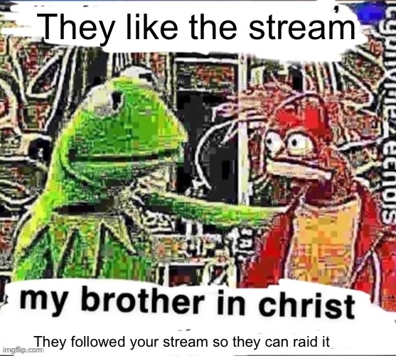 My brother in Christ | They like the stream They followed your stream so they can raid it | image tagged in my brother in christ | made w/ Imgflip meme maker