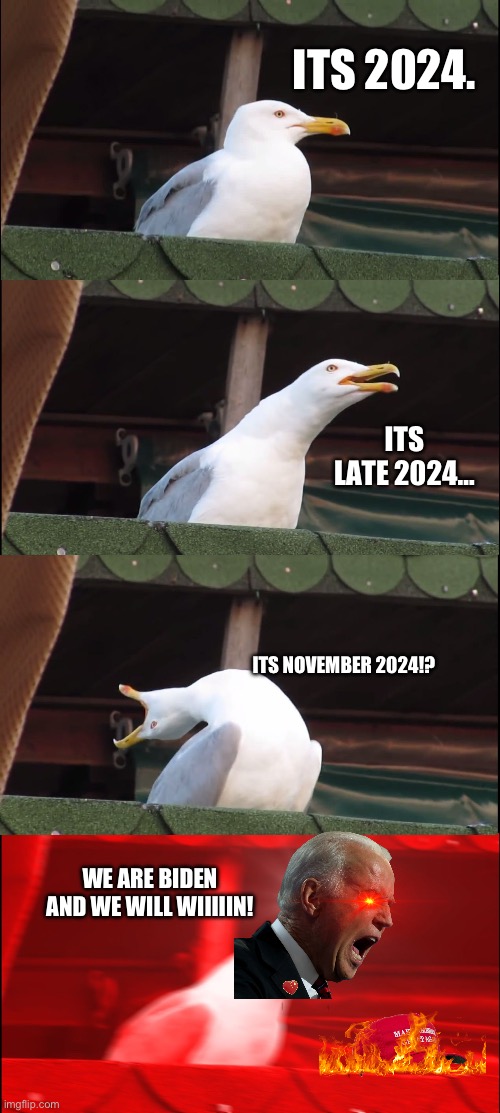 LETS GO BIDEN LETS GO (Canada is on your side Biden) | ITS 2024. ITS LATE 2024…; ITS NOVEMBER 2024!? WE ARE BIDEN AND WE WILL WIIIIIN! | image tagged in memes,inhaling seagull | made w/ Imgflip meme maker