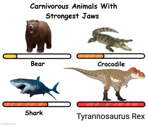 Carnivorus animals with strongest jaws | Tyrannosaurus Rex | image tagged in carnivorus animals with strongest jaws | made w/ Imgflip meme maker