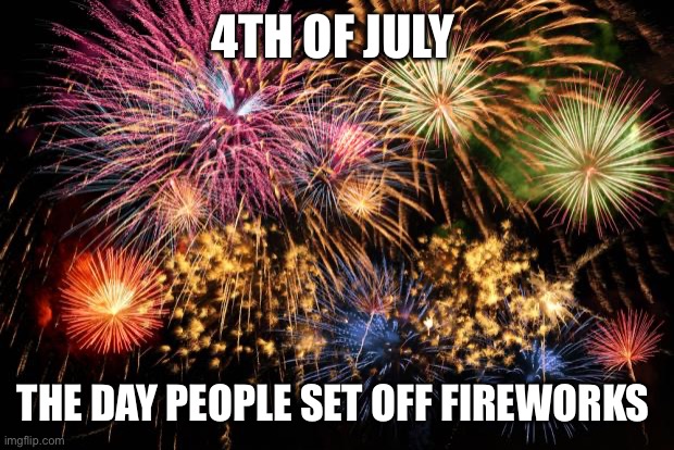 July 4th | 4TH OF JULY; THE DAY PEOPLE SET OFF FIREWORKS | image tagged in july 4th | made w/ Imgflip meme maker