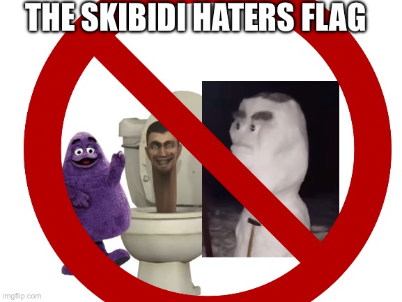 THE SKIBIDI HATERS FLAG | made w/ Imgflip meme maker