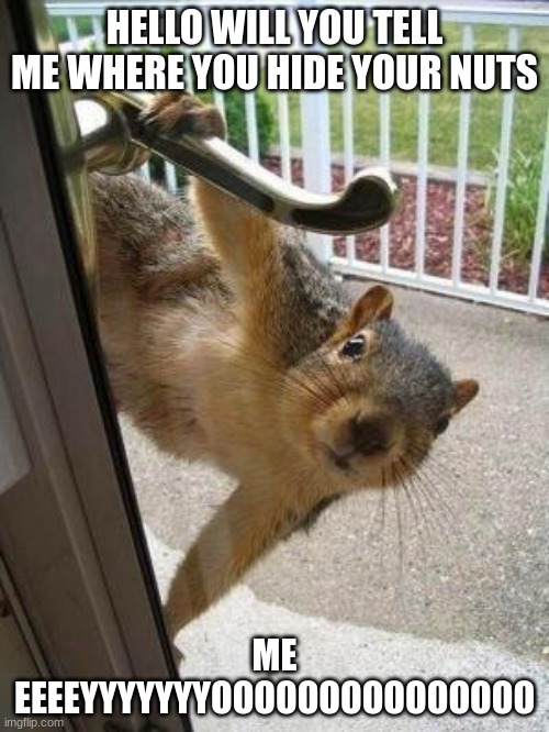 sussy squirrel | HELLO WILL YOU TELL ME WHERE YOU HIDE YOUR NUTS; ME EEEEYYYYYYYOOOOOOOOOOOOOOO | image tagged in squirrel | made w/ Imgflip meme maker