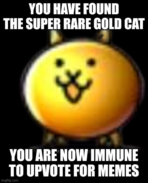 Gold basic cat | YOU HAVE FOUND THE SUPER RARE GOLD CAT; YOU ARE NOW IMMUNE TO UPVOTE FOR MEMES | image tagged in gold basic cat | made w/ Imgflip meme maker