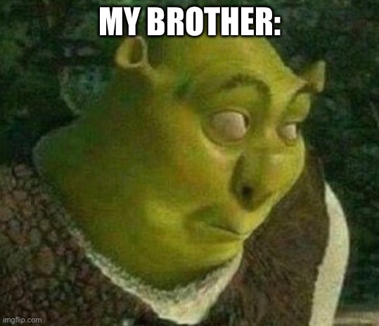 Oops shrek | MY BROTHER: | image tagged in oops shrek | made w/ Imgflip meme maker